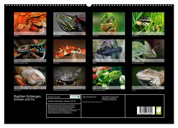Produktbild: Reptilien Schlangen, Echsen und Co. (hochwertiger Premium Wandkalender 2026 DIN A2 quer), Kunstdruck in Hochglanz