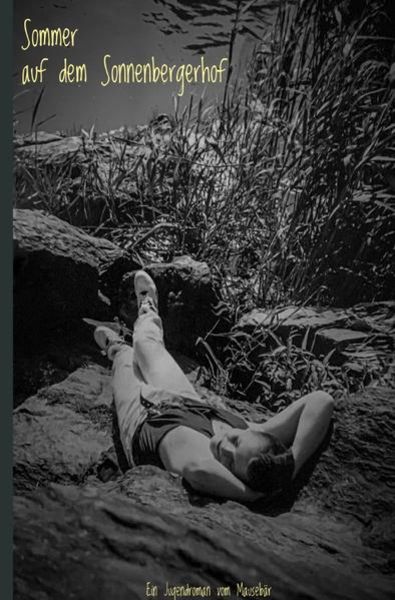 Sommer auf dem Sonnenbergerhof, Taschenbuch von Thorsten Dürholt, Epubli, 9783753129082