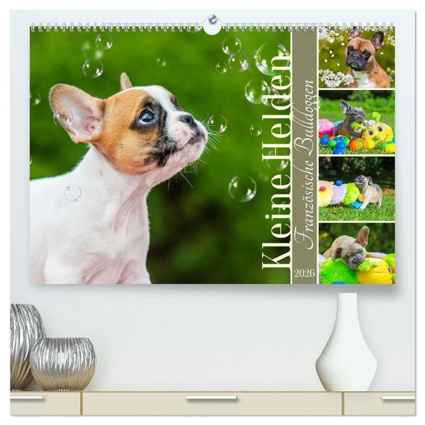 Kleine Helden - Französische Bulldoggen (hochwertiger Premium Wandkalender 2026 DIN A2 quer), Kunstdruck in Hochglanz