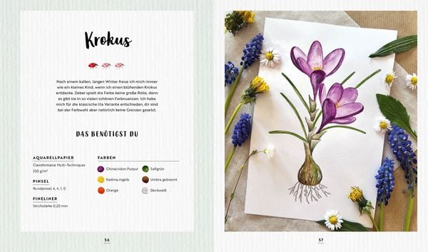 Produktbild: Watercolor Wald und Wiese