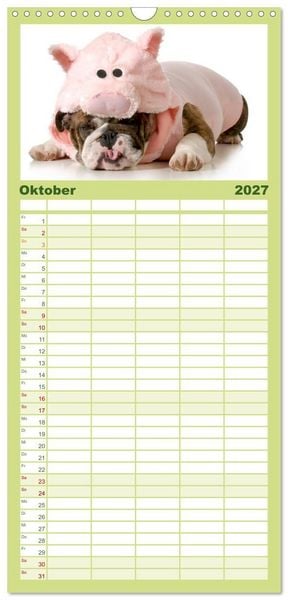 Produktbild: Familienplaner 2027 - English Bulldog XXL Models mit 5 Spalten (Wandkalender, 21 x 45 cm) CALVENDO