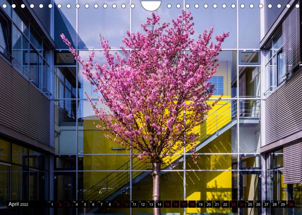 Produktbild: Erlangen - Meine Art zu sehen (Wandkalender 2022 DIN A4 quer)