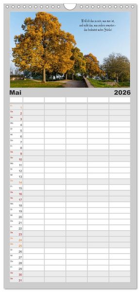 Produktbild: Familienplaner 2026 - wundersch&ouml;ne Lichtmomente mit 5 Spalten (Wandkalender, 21 x 45 cm) CALVENDO