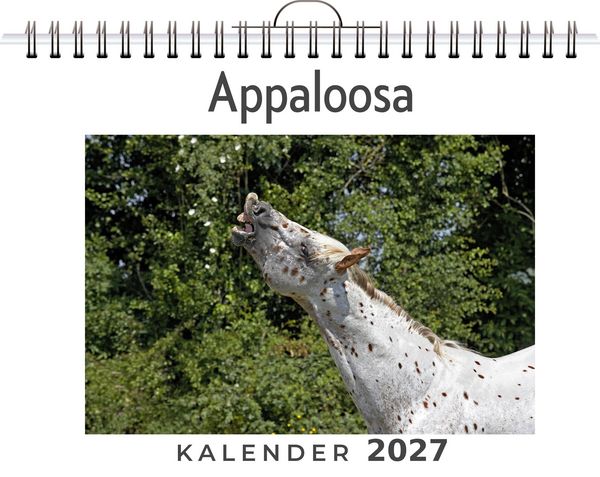 Produktbild: Appaloosa