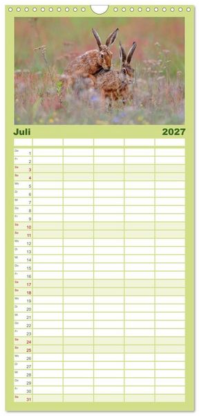 Produktbild: Familienplaner 2027 - Feldhasen in H&ouml;chstform mit 5 Spalten (Wandkalender, 21 x 45 cm) CALVENDO