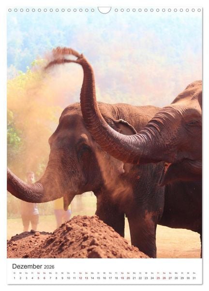 Produktbild: Elefanten - Die Herzeroberer der Tierwelt. (Wandkalender 2026 DIN A3 hoch), CALVENDO Monatskalender