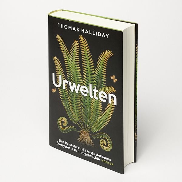 Produktbild: Urwelten