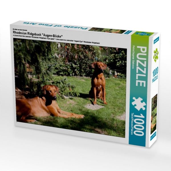 Produktbild: CALVENDO Puzzle Rhodesian Ridgeback H&uuml;ndinnen | 1000 Teile Lege-Gr&ouml;&szlig;e 64x48cm Foto-Puzzle f&uuml;r gl&uuml;ckliche Stunden
