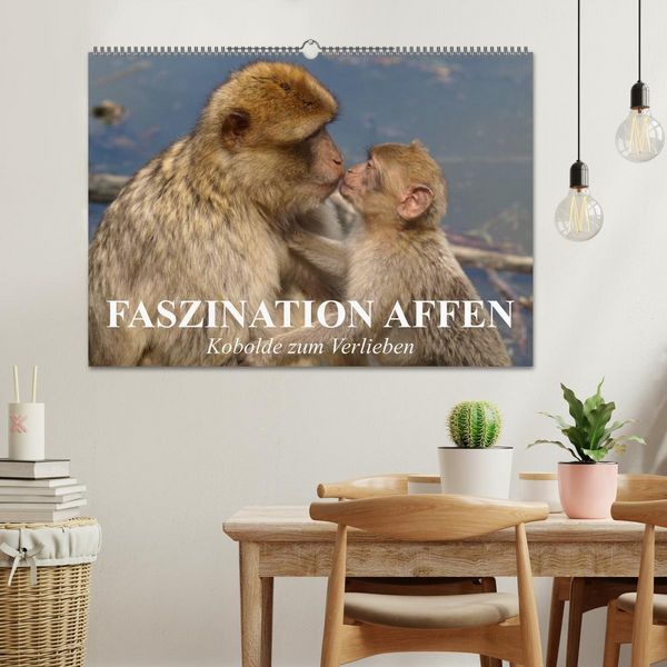 Produktbild: Faszination Affen. Kobolde zum Verlieben (Wandkalender 2026 DIN A2 quer), CALVENDO Monatskalender