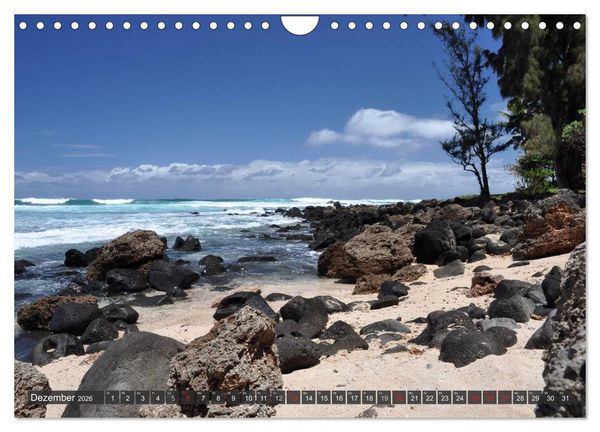 Produktbild: Ich will Meer ! (Wandkalender 2026 DIN A4 quer), CALVENDO Monatskalender