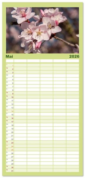 Produktbild: Familienplaner 2026 - Fr&uuml;hlingsbl&uuml;her - Farbenpracht nach dem Winter mit 5 Spalten (Wandkalender, 21 x 45 cm) CALVENDO