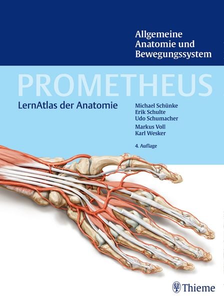 Produktbild: PROMETHEUS Allgemeine Anatomie und Bewegungssystem