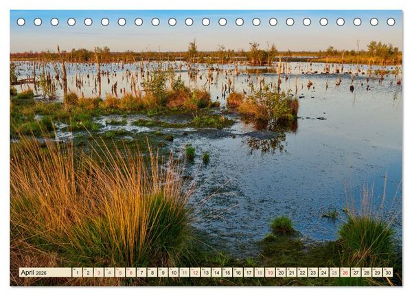 Produktbild: Niedersachsens Natur (Tischkalender 2026 DIN A5 quer), CALVENDO Monatskalender
