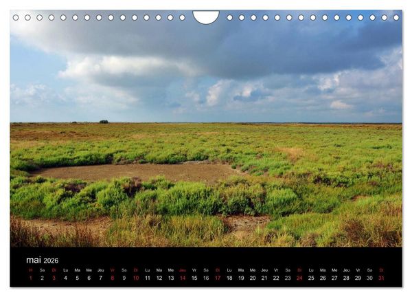 Produktbild: Camargue Entre mer et nature (Calendrier mural 2026 DIN A4 vertical), CALVENDO calendrier mensuel