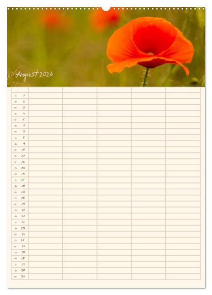 Produktbild: Mit Blick in den Garten (Wandkalender 2026 DIN A2 hoch), CALVENDO Monatskalender