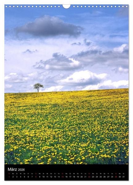 Produktbild: Landschaften (Wandkalender 2026 DIN A3 hoch), CALVENDO Monatskalender
