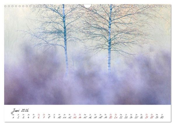 Produktbild: Im Atem der B&auml;ume (Wandkalender 2026 DIN A3 quer), CALVENDO Monatskalender