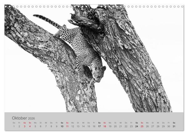 Produktbild: Die Seelen der wilden Tiere (Wandkalender 2026 DIN A3 quer), CALVENDO Monatskalender