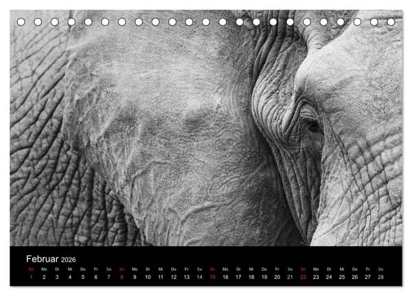 Produktbild: Elefanten Schwarz - Weiss (Tischkalender 2026 DIN A5 quer), CALVENDO Monatskalender
