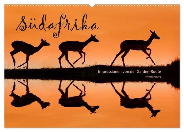 Produktbild: S&Uuml;DAFRIKA - Impressionen von der Garden Route (Wandkalender 2026 DIN A2 quer), CALVENDO Monatskalender