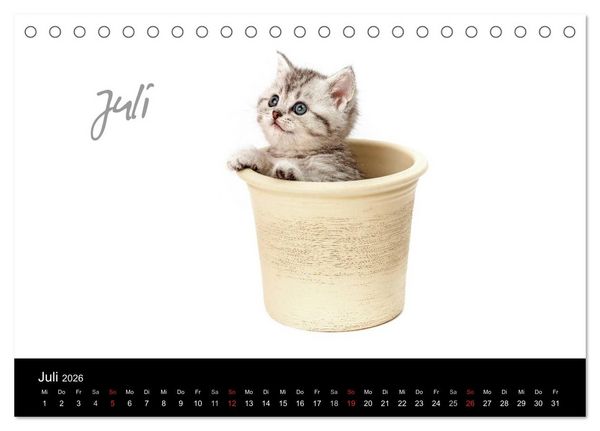 Produktbild: Katzenbabys (Tischkalender 2026 DIN A5 quer), CALVENDO Monatskalender