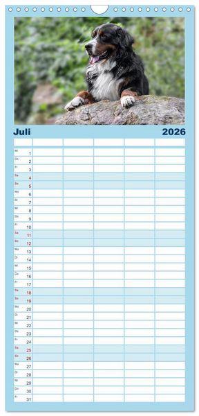 Produktbild: Familienplaner 2026 - Berner Sennenhunde - Faszinierende Herzensbrecher mit 5 Spalten (Wandkalender, 21 x 45 cm) CALVENDO