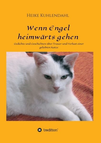 Produktbild: Wenn Engel heimw&auml;rts gehen