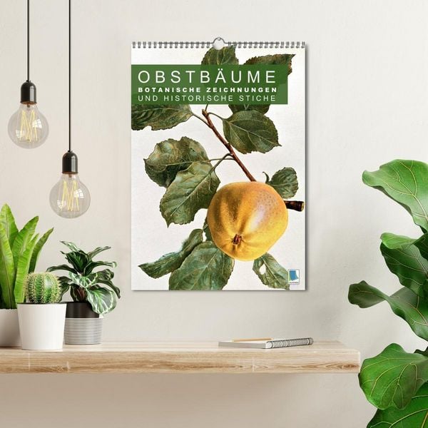 Produktbild: Obstb&auml;ume: Botanische Zeichnungen und historische Stiche (Wandkalender 2026 DIN A3 hoch), CALVENDO Monatskalender