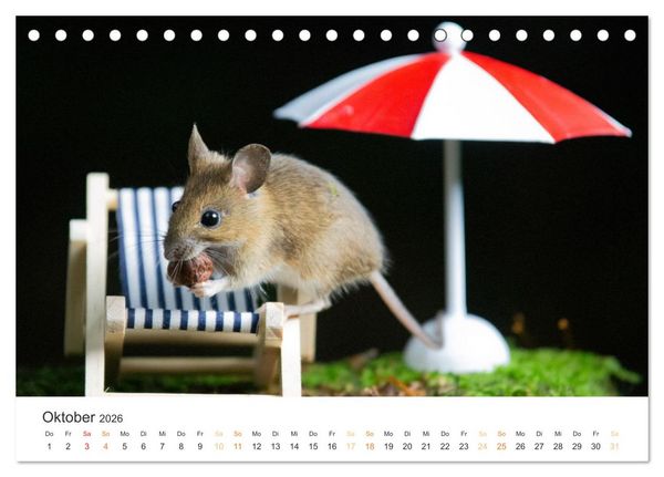 Produktbild: Geheimes Waldleben (Tischkalender 2026 DIN A5 quer), CALVENDO Monatskalender