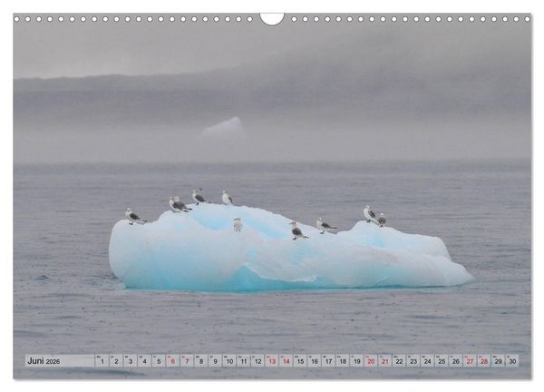 Produktbild: Gr&ouml;nland: Eisberge in der Disko Bucht (Wandkalender 2026 DIN A3 quer), CALVENDO Monatskalender