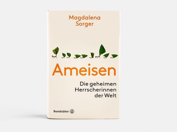 Produktbild: Ameisen