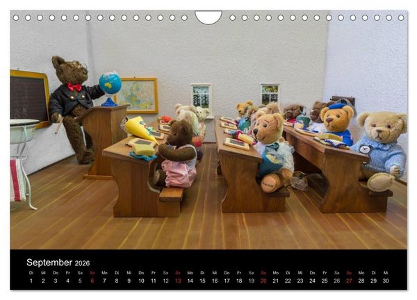 Produktbild: Martin B&auml;ren (Wandkalender 2026 DIN A4 quer), CALVENDO Monatskalender