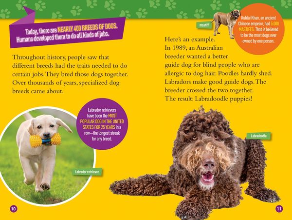 Produktbild: Woof! (National Geographic Kids Readers, Level 3/Fact Reader)