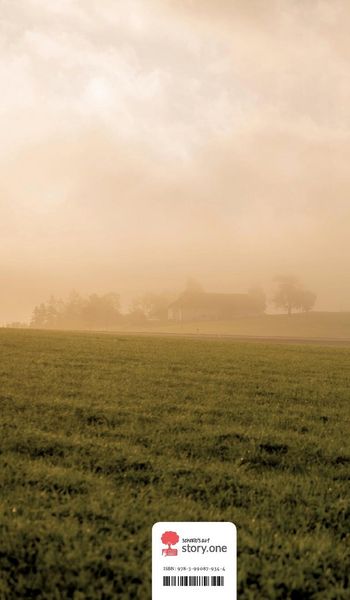 Produktbild: Provinzgeschichten. Life is a Story - story.one