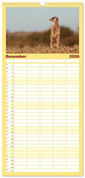 Produktbild: Familienplaner 2026 - Wildes Namibia mit 5 Spalten (Wandkalender, 21 x 45 cm) CALVENDO