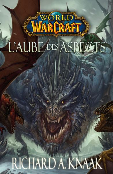 Produktbild: World of Warcraft - L'aube des aspects