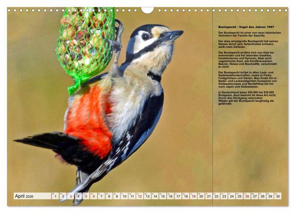 Produktbild: Heimische V&ouml;gel des Jahres (Wandkalender 2026 DIN A3 quer), CALVENDO Monatskalender