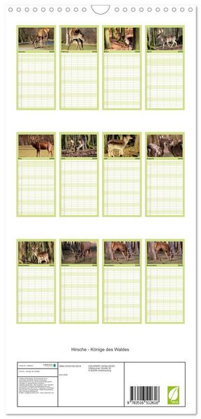 Produktbild: Familienplaner 2026 - Hirsche - K&ouml;nige des Waldes mit 5 Spalten (Wandkalender, 21 x 45 cm) CALVENDO