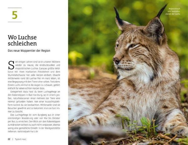 Produktbild: Die ultimative Bucket List f&uuml;r den Harz