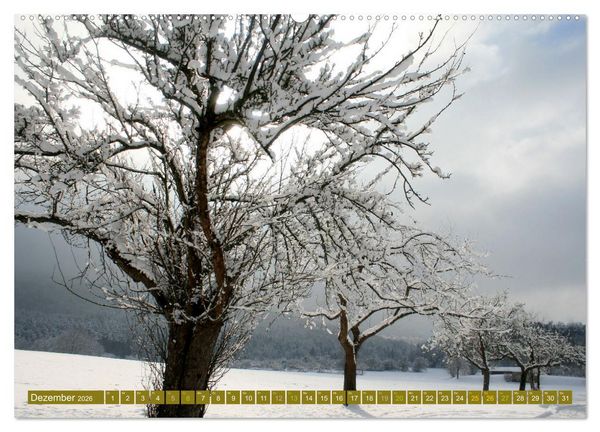 Produktbild: Apfelbaum und Streuobstwiesen (Wandkalender 2026 DIN A2 quer), CALVENDO Monatskalender