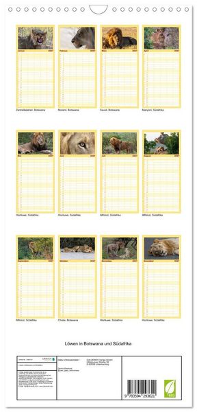 Produktbild: Familienplaner 2027 - L&ouml;wen in Botswana und S&uuml;dafrika mit 5 Spalten (Wandkalender, 21 x 45 cm) CALVENDO
