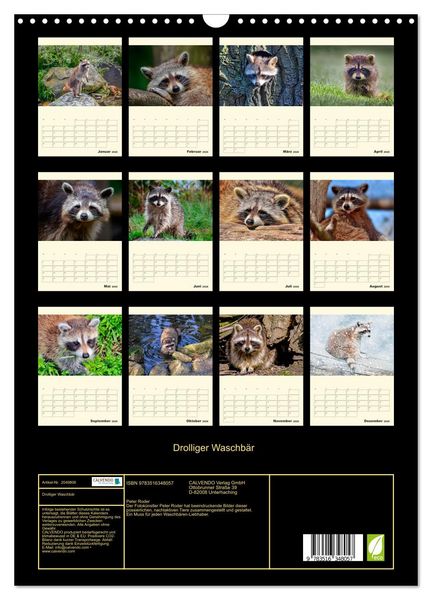 Produktbild: Drolliger Waschb&auml;r (Wandkalender 2026 DIN A3 hoch), CALVENDO Monatskalender