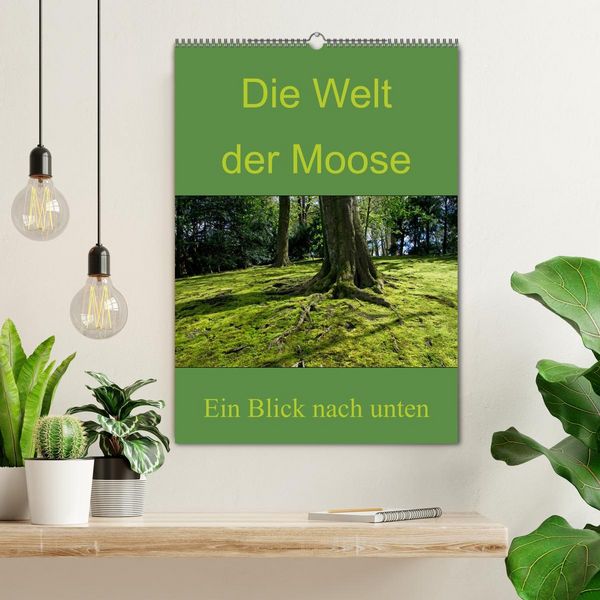 Produktbild: Die Welt der Moose. Ein Blick nach unten (Wandkalender 2026 DIN A2 hoch), CALVENDO Monatskalender