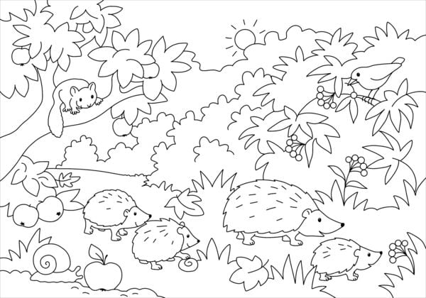 Produktbild: Mein sch&ouml;nstes Malbuch. Wald und Wiese