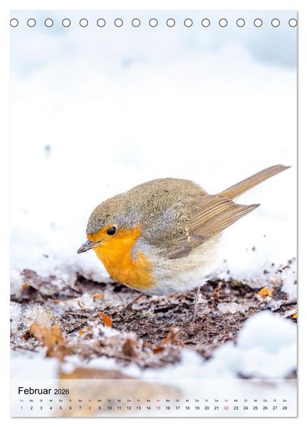Produktbild: Vogelwelt der Schweiz (Tischkalender 2026 DIN A5 hoch), CALVENDO Monatskalender