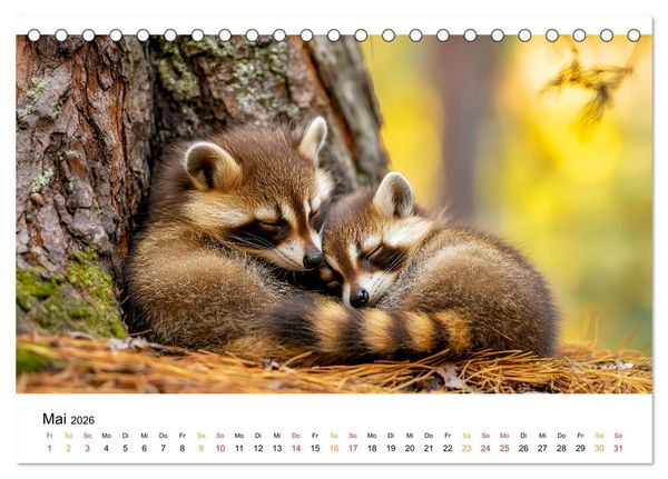 Produktbild: Wenn Tierchen tr&auml;umen (Tischkalender 2026 DIN A5 quer), CALVENDO Monatskalender