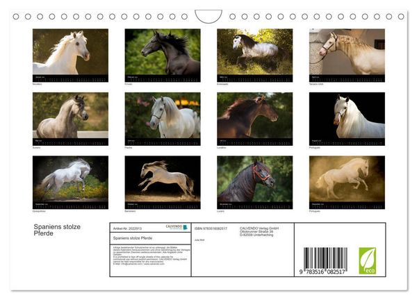 Produktbild: Spaniens stolze Pferde (Wandkalender 2026 DIN A4 quer), CALVENDO Monatskalender