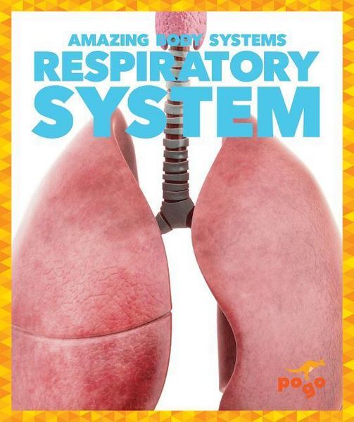Produktbild: Respiratory System