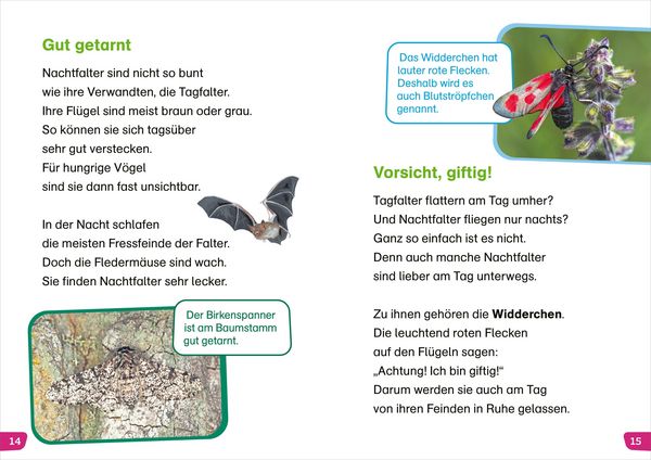Produktbild: WAS IST WAS Erstes Lesen easy! Unsere Schmetterlinge