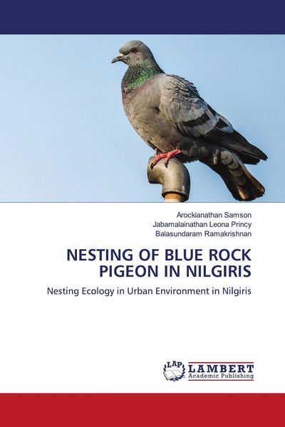 Produktbild: Nesting Of Blue Rock Pigeon in Nilgiris